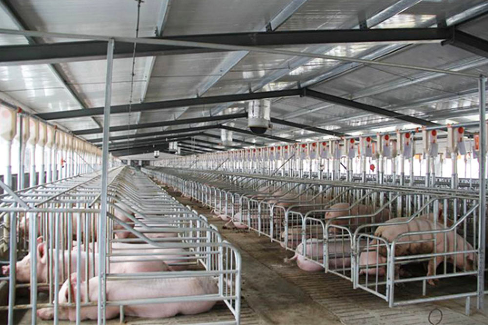 About Us - Hightop Swine Equipment