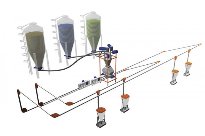 Automatic Pig Feeding Systems